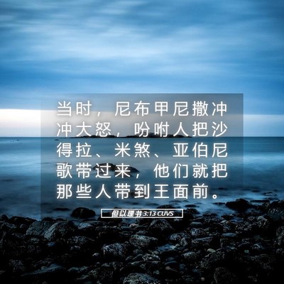 Picture 05 - 但 以 理 书 3:13 CUVS - 当 时 ， 尼 布 甲 尼 撒 冲 冲 大 怒 - Bible Verse Picture