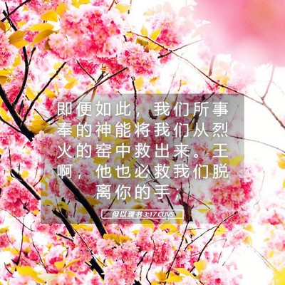 Picture 05 - 但 以 理 书 3:17 CUVS - 即 便 如 此 ， 我 们 所 事 奉 的 神 - Bible Verse Picture