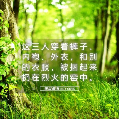 Picture 05 - 但 以 理 书 3:21 CUVS - 这 三 人 穿 着 裤 子 、 内 袍 、 外 - Bible Verse Picture
