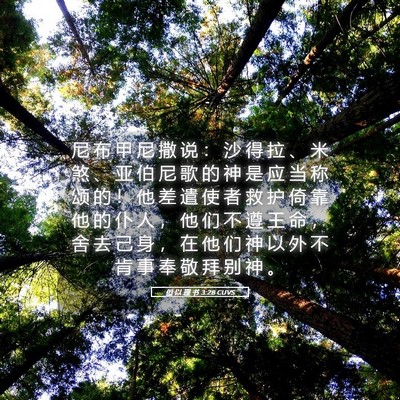 Picture 05 - 但 以 理 书 3:28 CUVS - 尼 布 甲 尼 撒 说 ： 沙 得 拉 、 米 - Bible Verse Picture