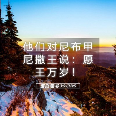Picture 05 - 但 以 理 书 3:9 CUVS - 他 们 对 尼 布 甲 尼 撒 王 说 ： 愿 - Bible Verse Picture