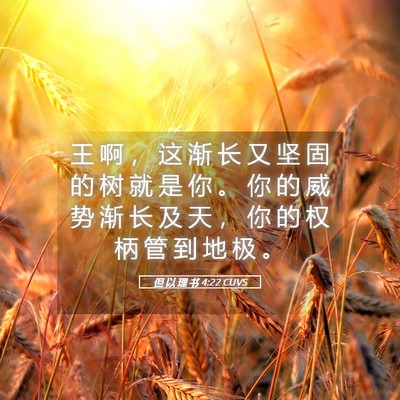 Picture 05 - 但 以 理 书 4:22 CUVS - 王 啊 ， 这 渐 长 又 坚 固 的 树 就 - Bible Verse Picture