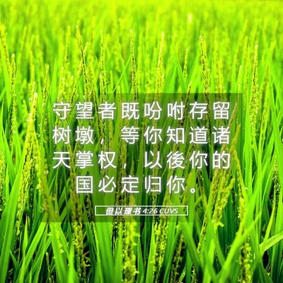 Picture 05 - 但 以 理 书 4:26 CUVS - 守 望 者 既 吩 咐 存 留 树 墩 ， 等 - Bible Verse Picture