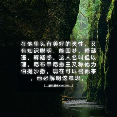 Picture 05 - 但 以 理 书 5:12 CUVS - 在 他 里 头 有 美 好 的 灵 性 ， 又 - Bible Verse Picture