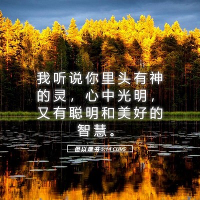 Picture 05 - 但 以 理 书 5:14 CUVS - 我 听 说 你 里 头 有 神 的 灵 ， 心 - Bible Verse Picture