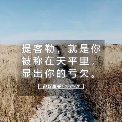 Picture 05 - 但 以 理 书 5:27 CUVS - 提 客 勒 ， 就 是 你 被 称 在 天 平 - Bible Verse Picture