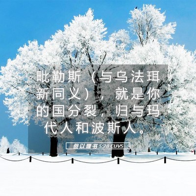 Picture 05 - 但 以 理 书 5:28 CUVS - 毗 勒 斯 （ 与 乌 法 珥 新 同 义 ） - Bible Verse Picture