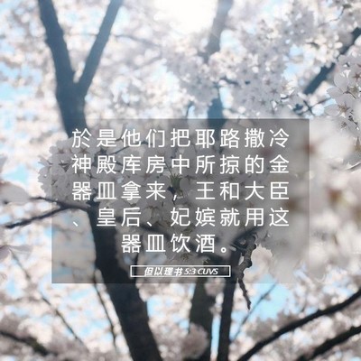 Picture 05 - 但 以 理 书 5:3 CUVS - 於 是 他 们 把 耶 路 撒 冷 神 殿 库 - Bible Verse Picture