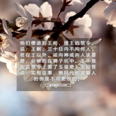 Picture 05 - 但 以 理 书 6:12 CUVS - 他 们 便 进 到 王 前 ， 提 王 的 禁 - Bible Verse Picture