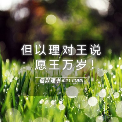 Picture 05 - 但 以 理 书 6:21 CUVS - 但 以 理 对 王 说 ： 愿 王 万 岁 - Bible Verse Picture