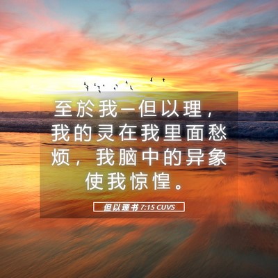 Picture 05 - 但 以 理 书 7:15 CUVS - 至 於 我 ─ 但 以 理 ， 我 的 灵 在 - Bible Verse Picture