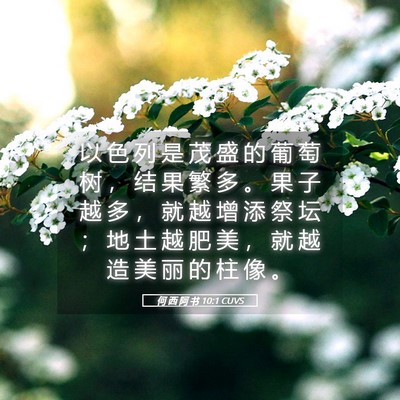Picture 05 - 何 西 阿 书 10:1 CUVS - 以 色 列 是 茂 盛 的 葡 萄 树 ， 结 - Bible Verse Picture