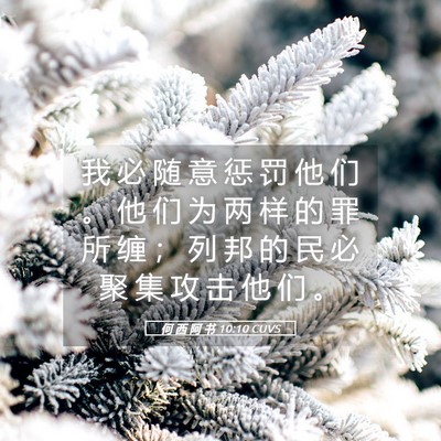 Picture 05 - 何 西 阿 书 10:10 CUVS - 我 必 随 意 惩 罚 他 们 。 他 们 为 - Bible Verse Picture