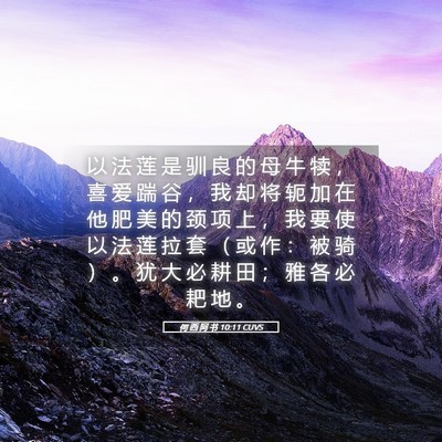 Picture 05 - 何 西 阿 书 10:11 CUVS - 以 法 莲 是 驯 良 的 母 牛 犊 ， 喜 - Bible Verse Picture