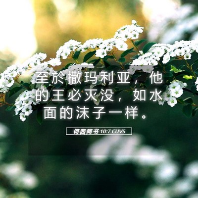 Picture 05 - 何 西 阿 书 10:7 CUVS - 至 於 撒 玛 利 亚 ， 他 的 王 必 灭 - Bible Verse Picture