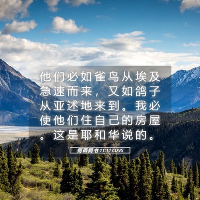 Picture 05 - 何 西 阿 书 11:11 CUVS - 他 们 必 如 雀 鸟 从 埃 及 急 速 而 - Bible Verse Picture