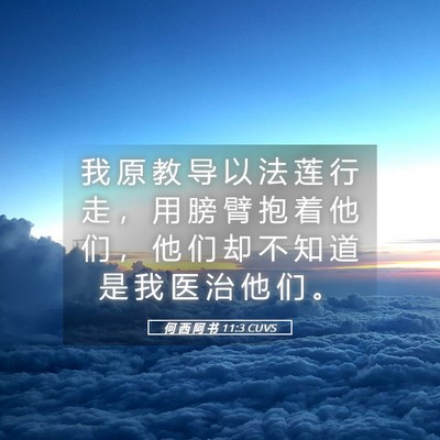 Picture 05 - 何 西 阿 书 11:3 CUVS - 我 原 教 导 以 法 莲 行 走 ， 用 膀 - Bible Verse Picture