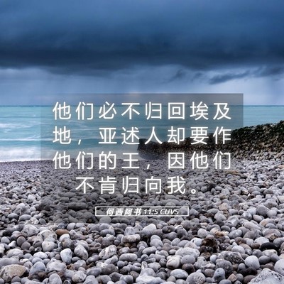 Picture 05 - 何 西 阿 书 11:5 CUVS - 他 们 必 不 归 回 埃 及 地 ， 亚 述 - Bible Verse Picture