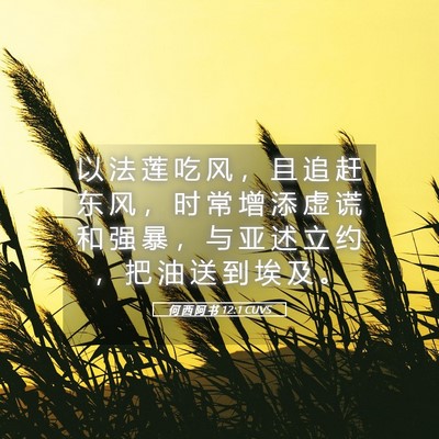 Picture 05 - 何 西 阿 书 12:1 CUVS - 以 法 莲 吃 风 ， 且 追 赶 东 风 ， - Bible Verse Picture