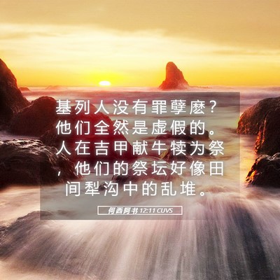 Picture 05 - 何 西 阿 书 12:11 CUVS - 基 列 人 没 有 罪 孽 麽 ？ 他 们 全 - Bible Verse Picture