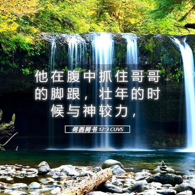 Picture 05 - 何 西 阿 书 12:3 CUVS - 他 在 腹 中 抓 住 哥 哥 的 脚 跟 ， - Bible Verse Picture