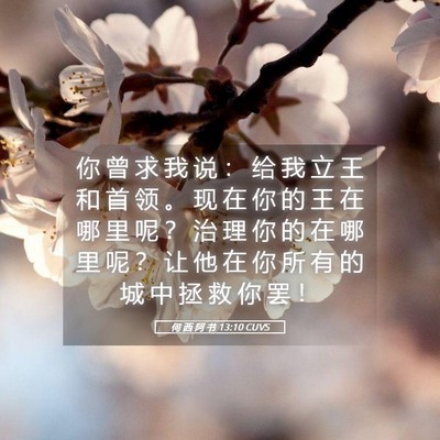 Picture 05 - 何 西 阿 书 13:10 CUVS - 你 曾 求 我 说 ： 给 我 立 王 和 首 - Bible Verse Picture