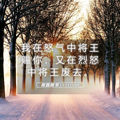 Picture 05 - 何 西 阿 书 13:11 CUVS - 我 在 怒 气 中 将 王 赐 你 ， 又 在 - Bible Verse Picture