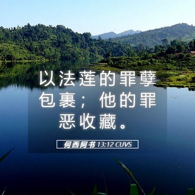Picture 05 - 何 西 阿 书 13:12 CUVS - 以 法 莲 的 罪 孽 包 裹 ； 他 的 罪 - Bible Verse Picture