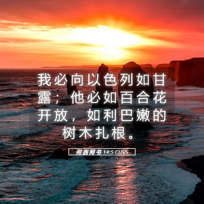 Picture 05 - 何 西 阿 书 14:5 CUVS - 我 必 向 以 色 列 如 甘 露 ； 他 必 - Bible Verse Picture