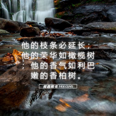 Picture 05 - 何 西 阿 书 14:6 CUVS - 他 的 枝 条 必 延 长 ； 他 的 荣 华 - Bible Verse Picture