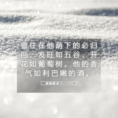 Picture 05 - 何 西 阿 书 14:7 CUVS - 曾 住 在 他 荫 下 的 必 归 回 ， 发 - Bible Verse Picture