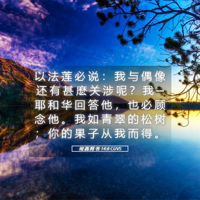 Picture 05 - 何 西 阿 书 14:8 CUVS - 以 法 莲 必 说 ： 我 与 偶 像 还 有 - Bible Verse Picture