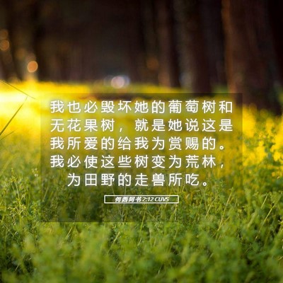 Picture 05 - 何 西 阿 书 2:12 CUVS - 我 也 必 毁 坏 她 的 葡 萄 树 和 无 - Bible Verse Picture