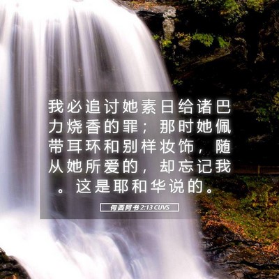 Picture 05 - 何 西 阿 书 2:13 CUVS - 我 必 追 讨 她 素 日 给 诸 巴 力 烧 - Bible Verse Picture