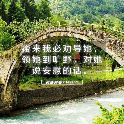 Picture 05 - 何 西 阿 书 2:14 CUVS - 後 来 我 必 劝 导 她 ， 领 她 到 旷 - Bible Verse Picture