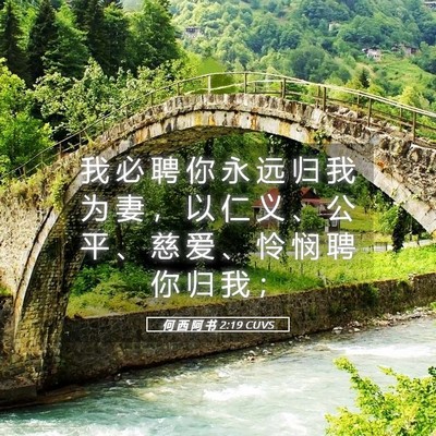 Picture 05 - 何 西 阿 书 2:19 CUVS - 我 必 聘 你 永 远 归 我 为 妻 ， 以 - Bible Verse Picture