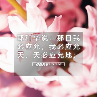 Picture 05 - 何 西 阿 书 2:21 CUVS - 耶 和 华 说 ： 那 日 我 必 应 允 ， - Bible Verse Picture