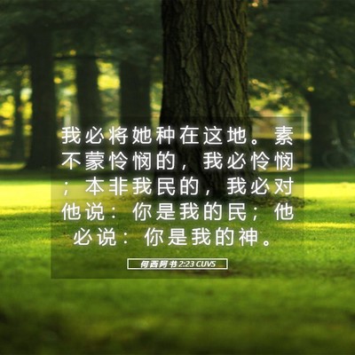 Picture 05 - 何 西 阿 书 2:23 CUVS - 我 必 将 她 种 在 这 地 。 素 不 蒙 - Bible Verse Picture