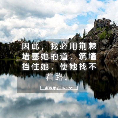 Picture 05 - 何 西 阿 书 2:6 CUVS - 因 此 ， 我 必 用 荆 棘 堵 塞 她 的 - Bible Verse Picture