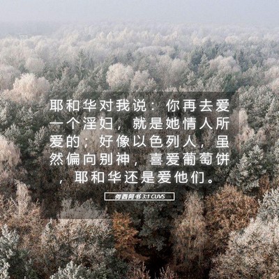 Picture 05 - 何 西 阿 书 3:1 CUVS - 耶 和 华 对 我 说 ： 你 再 去 爱 一 - Bible Verse Picture