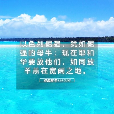 Picture 05 - 何 西 阿 书 4:16 CUVS - 以 色 列 倔 强 ， 犹 如 倔 强 的 母 - Bible Verse Picture