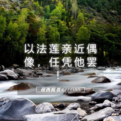 Picture 05 - 何 西 阿 书 4:17 CUVS - 以 法 莲 亲 近 偶 像 ， 任 凭 他 罢 - Bible Verse Picture