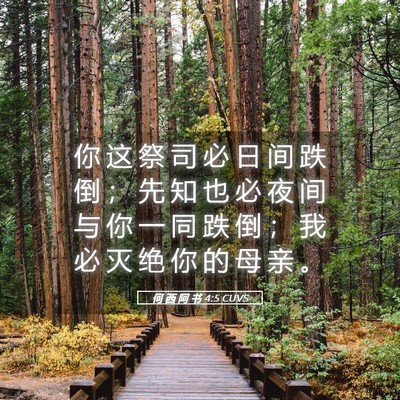 Picture 05 - 何 西 阿 书 4:5 CUVS - 你 这 祭 司 必 日 间 跌 倒 ； 先 知 - Bible Verse Picture