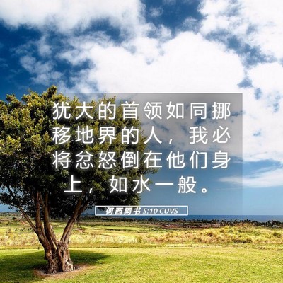 Picture 05 - 何 西 阿 书 5:10 CUVS - 犹 大 的 首 领 如 同 挪 移 地 界 的 - Bible Verse Picture