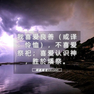 Picture 05 - 何 西 阿 书 6:6 CUVS - 我 喜 爱 良 善 （ 或 译 ： 怜 恤 ） - Bible Verse Picture