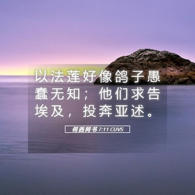 Picture 05 - 何 西 阿 书 7:11 CUVS - 以 法 莲 好 像 鸽 子 愚 蠢 无 知 ； - Bible Verse Picture