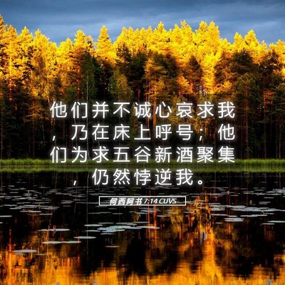 Picture 05 - 何 西 阿 书 7:14 CUVS - 他 们 并 不 诚 心 哀 求 我 ， 乃 在 - Bible Verse Picture