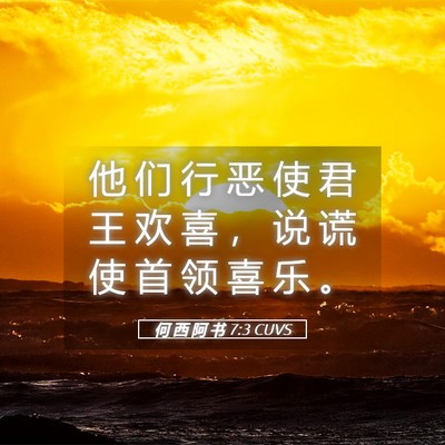 Picture 05 - 何 西 阿 书 7:3 CUVS - 他 们 行 恶 使 君 王 欢 喜 ， 说 谎 - Bible Verse Picture