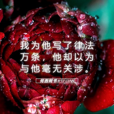 Picture 05 - 何 西 阿 书 8:12 CUVS - 我 为 他 写 了 律 法 万 条 ， 他 却 - Bible Verse Picture