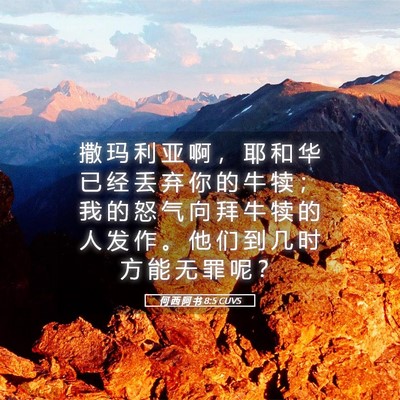 Picture 05 - 何 西 阿 书 8:5 CUVS - 撒 玛 利 亚 啊 ， 耶 和 华 已 经 丢 - Bible Verse Picture